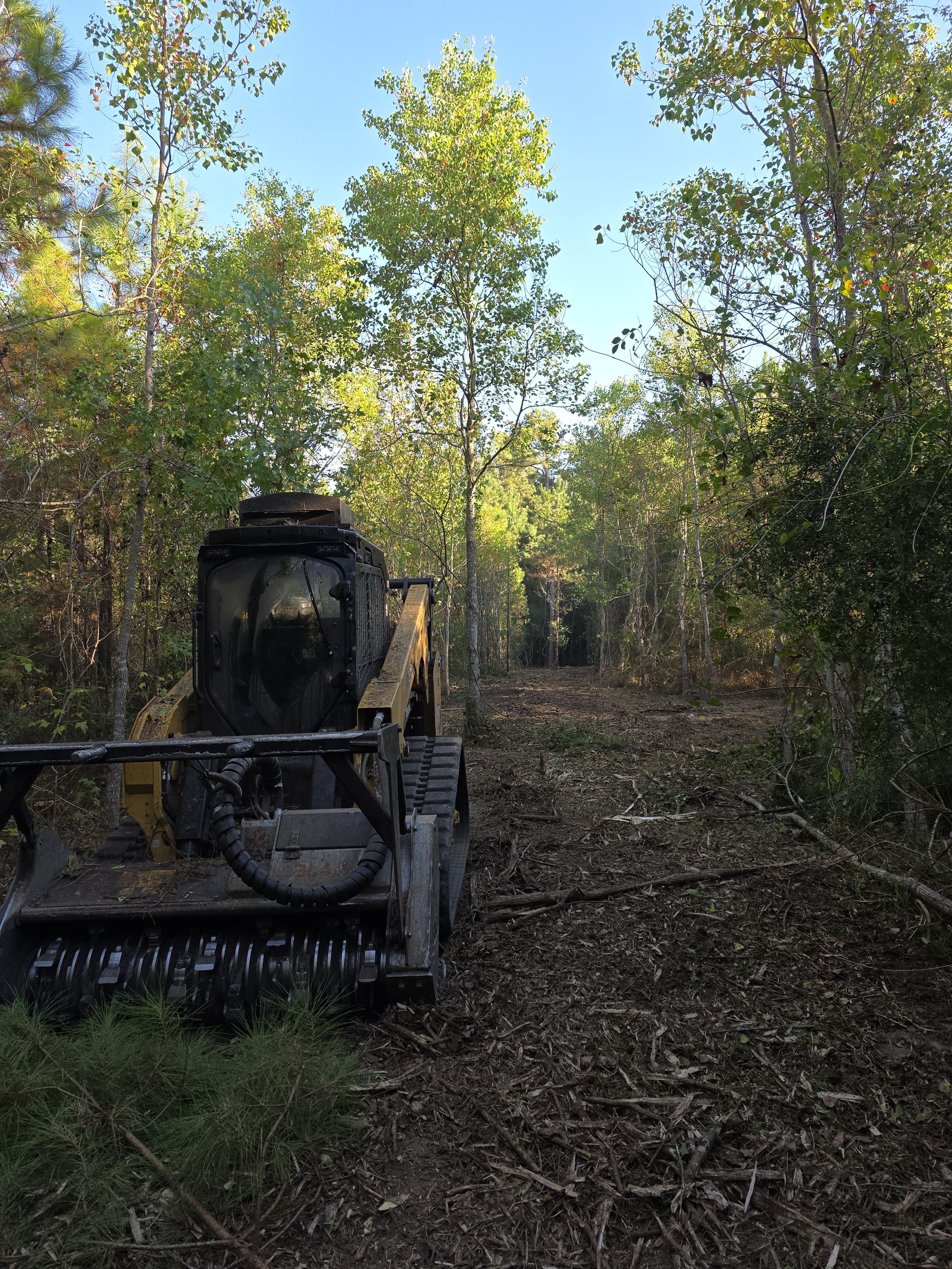 Land Clearing