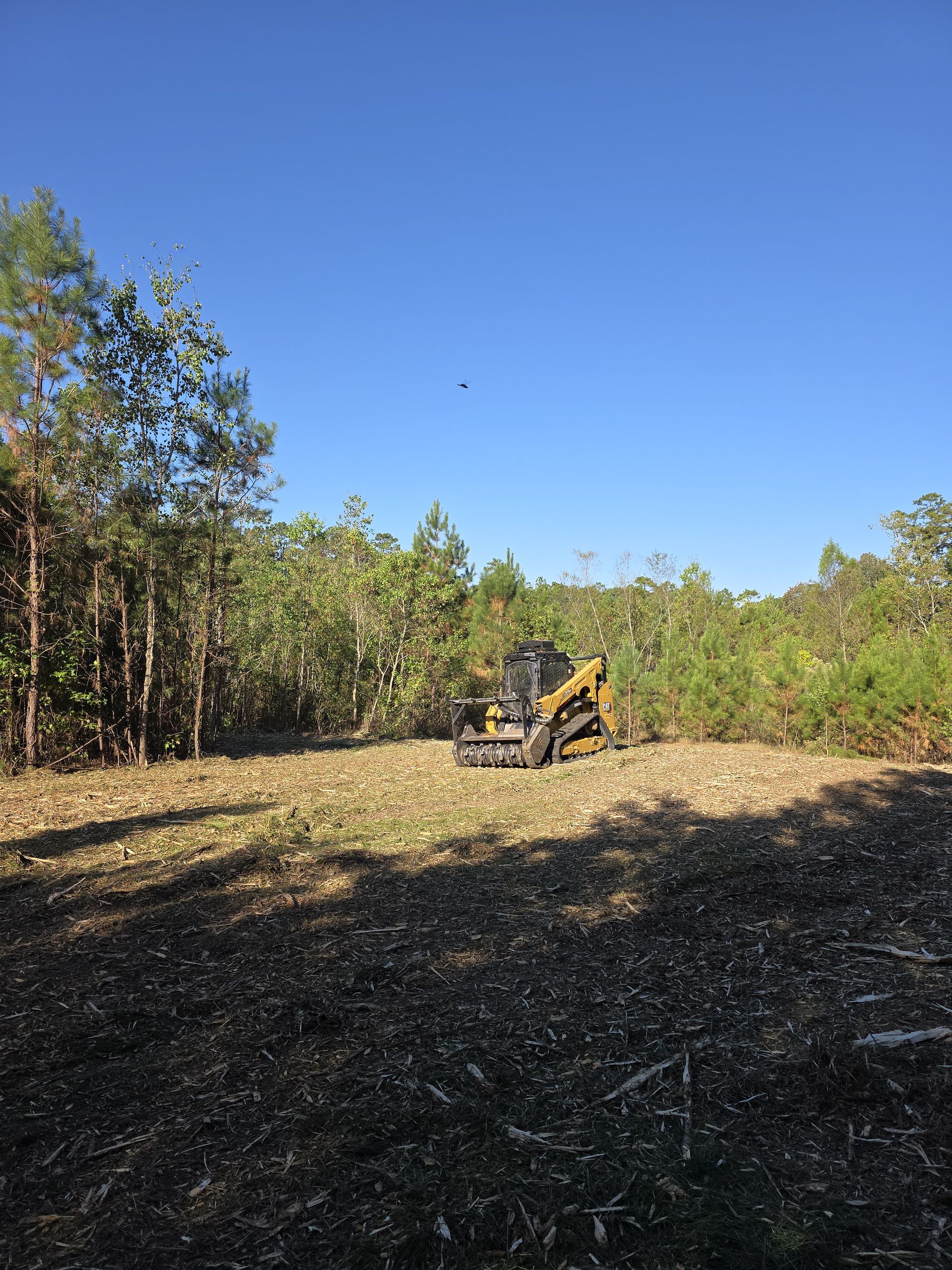 Hydro-Ax Mulching project 4