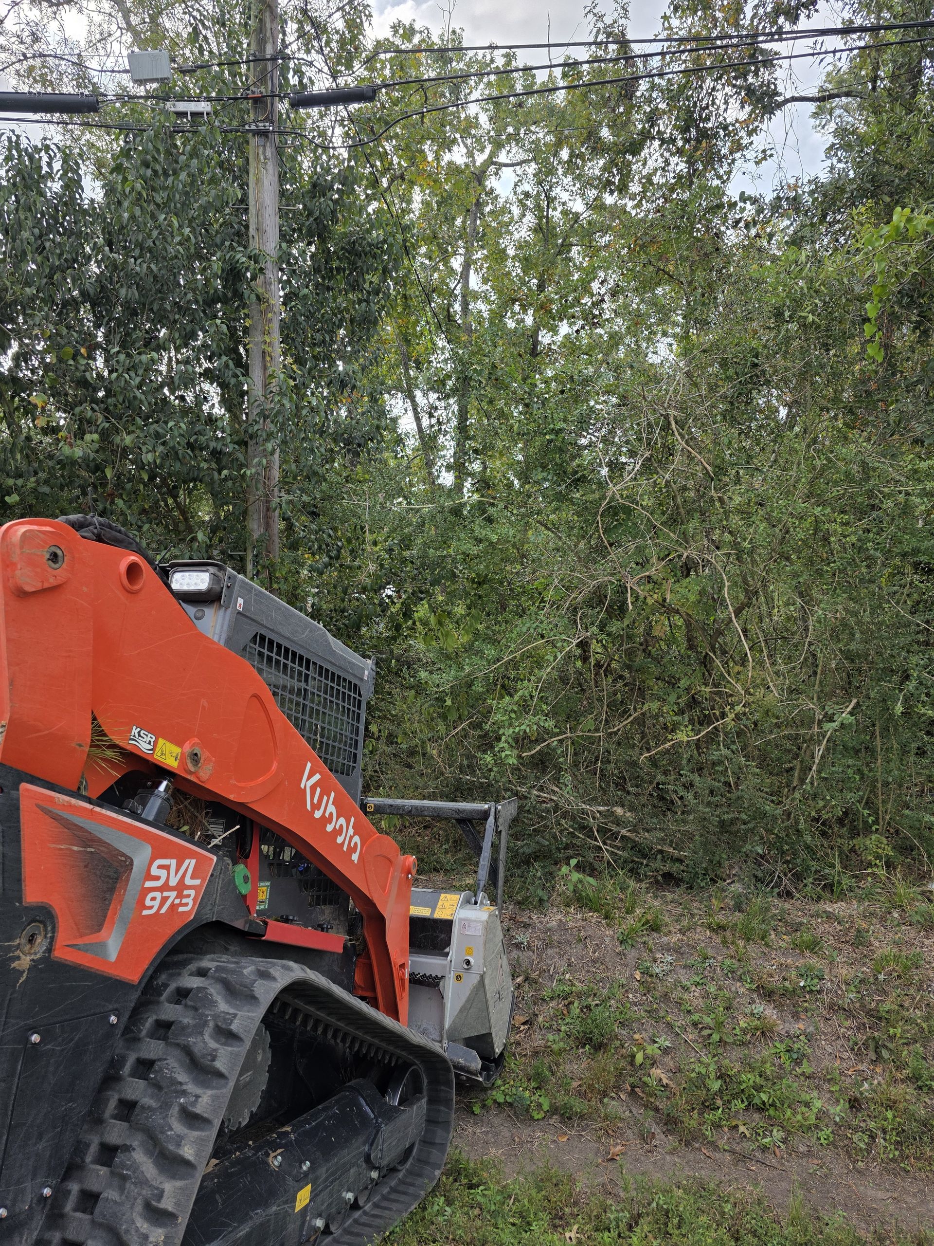 Mowing and Brush Hogging project 3