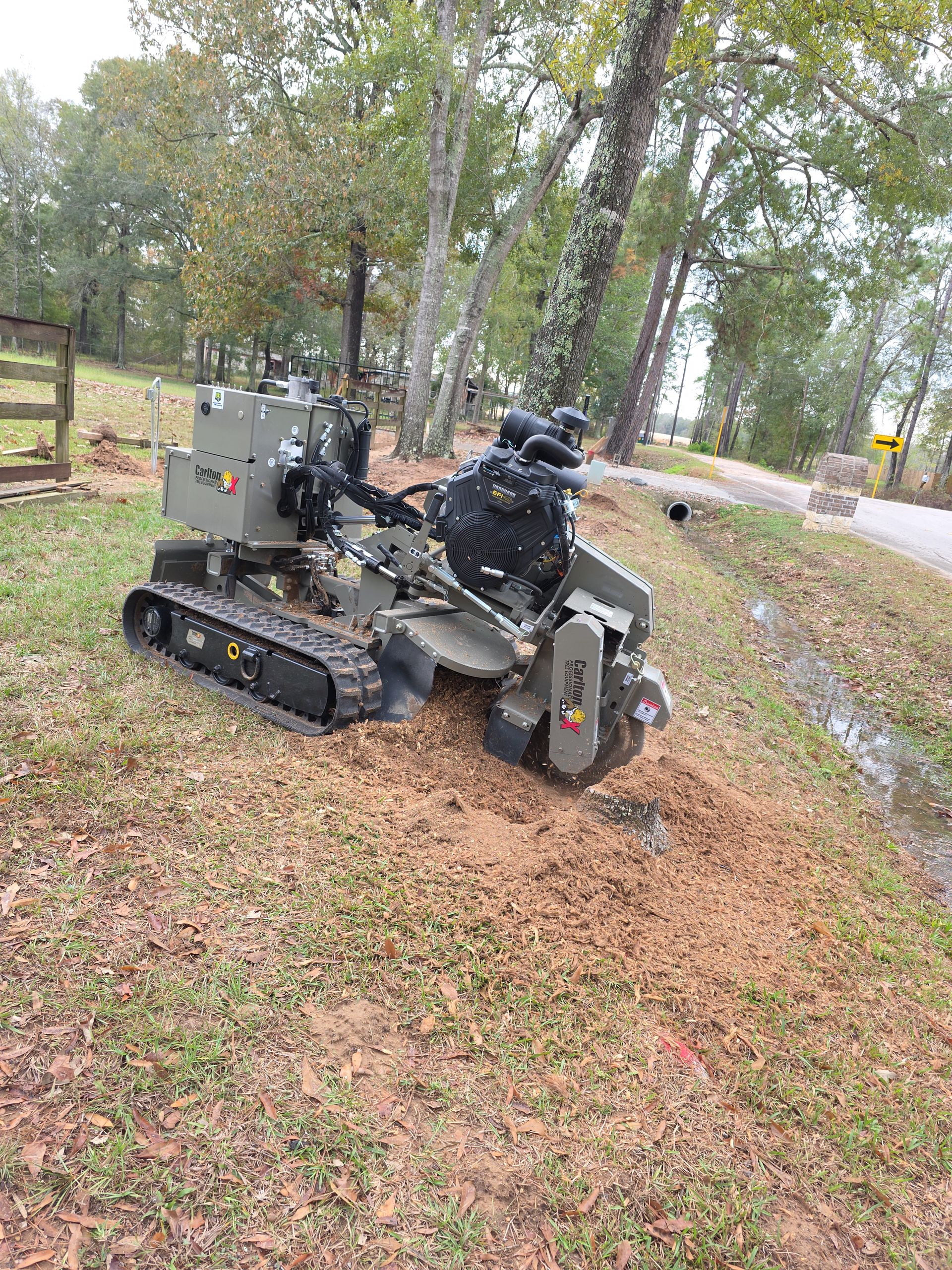 Mowing and Brush Hogging project 6