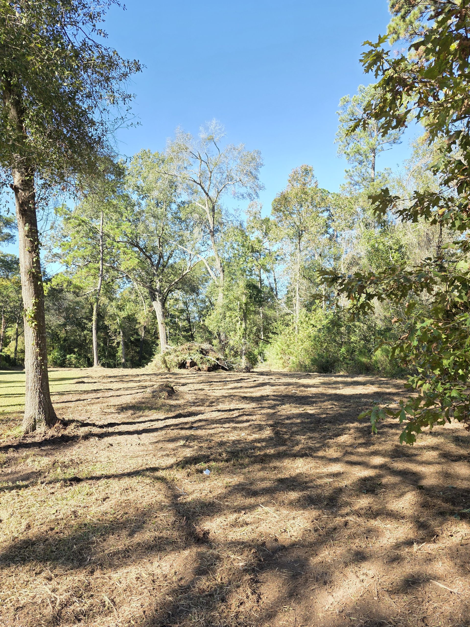 Overgrown Lot To Cleared Site after