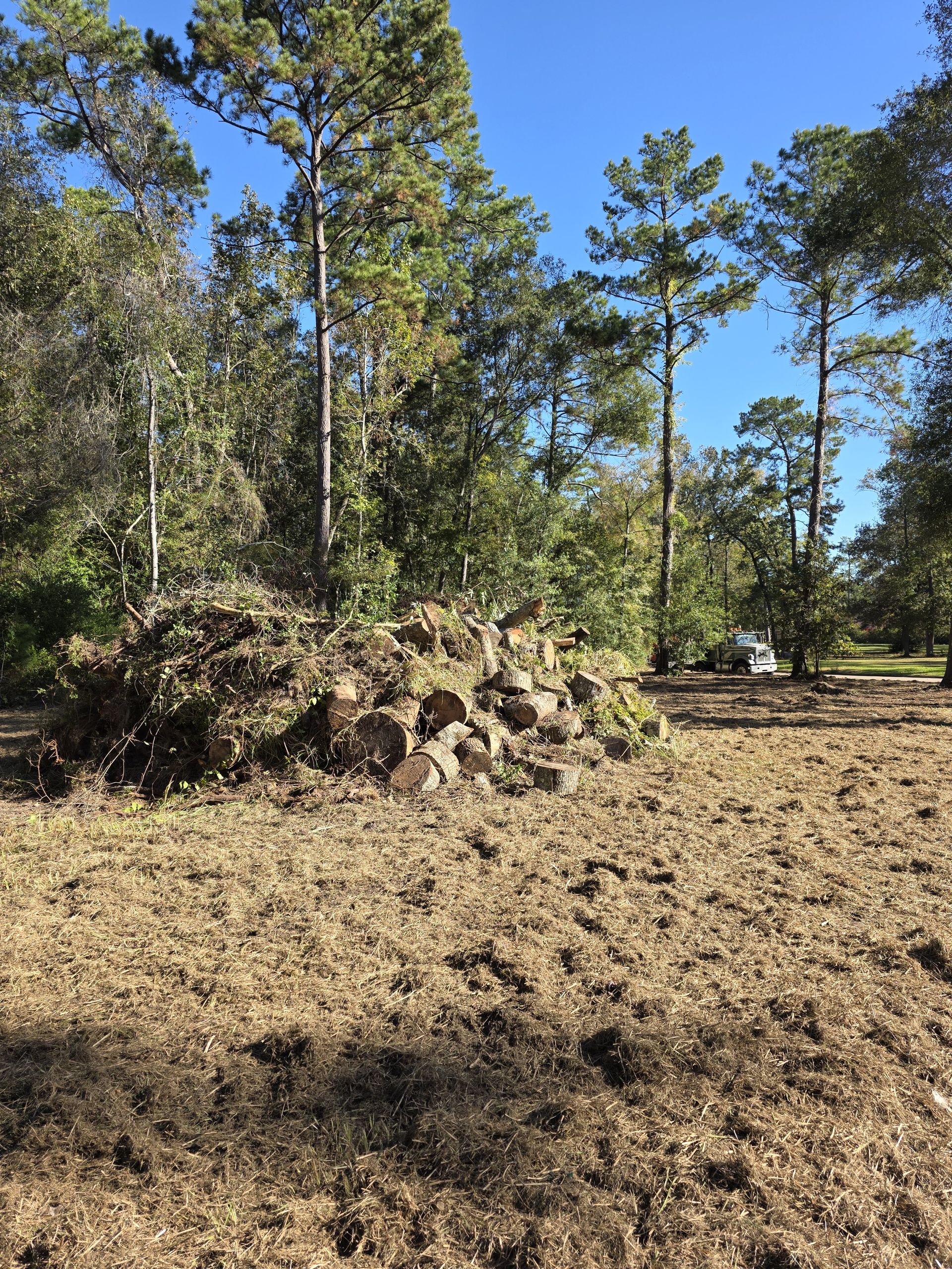 Tree Service project 3