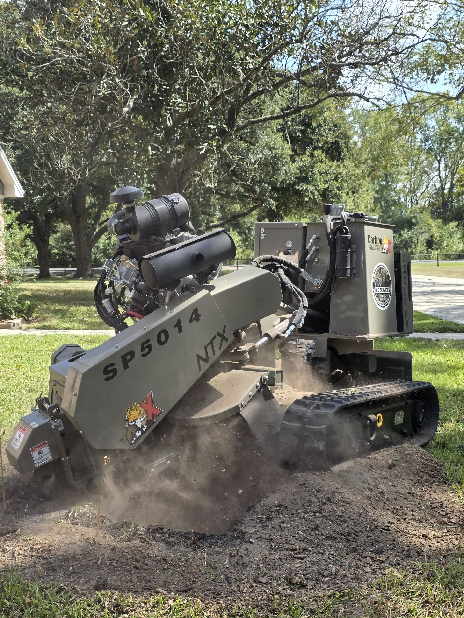 Stump Grinding and Removal project 1