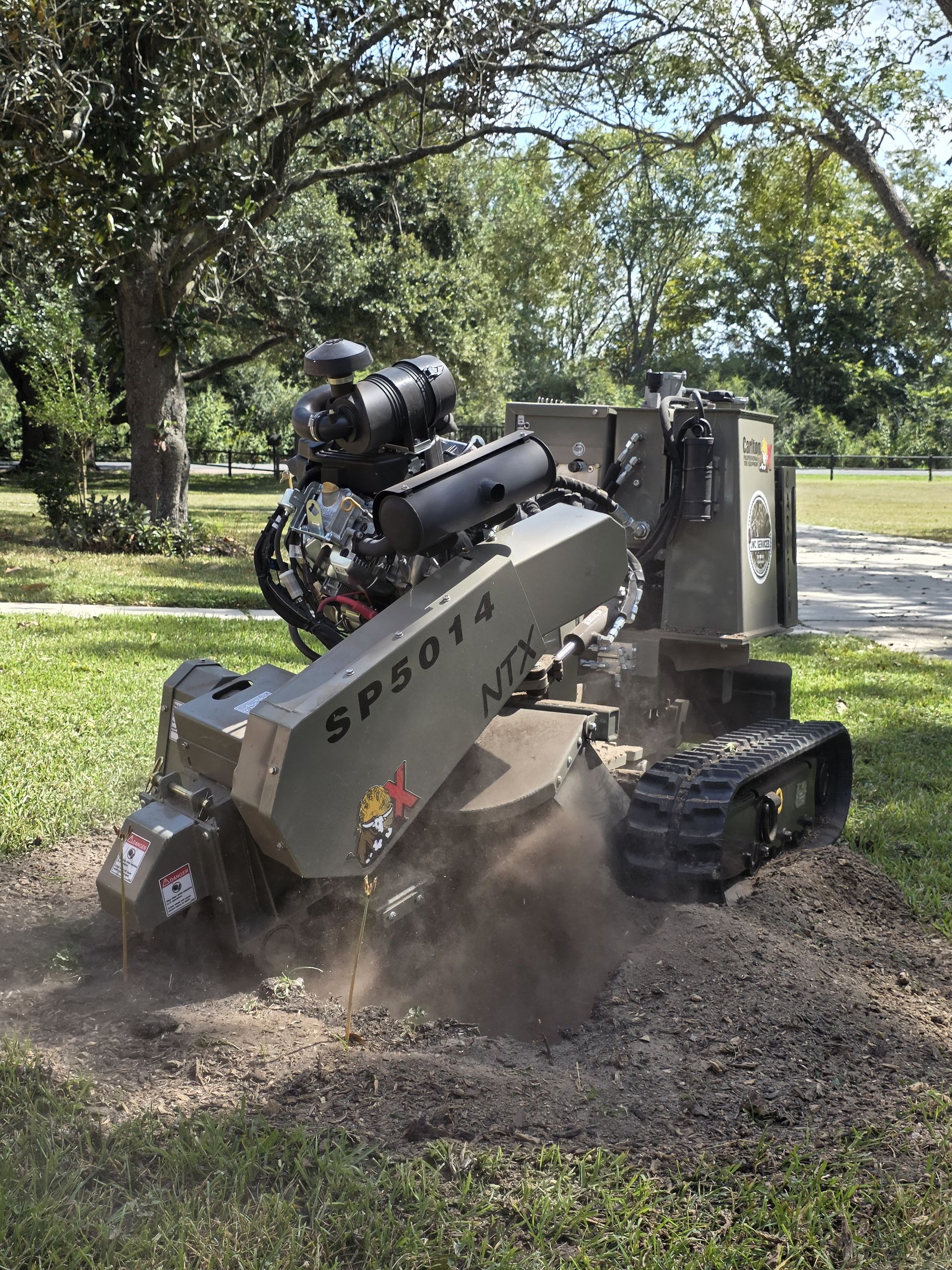 Stump Grinding and Removal project 2