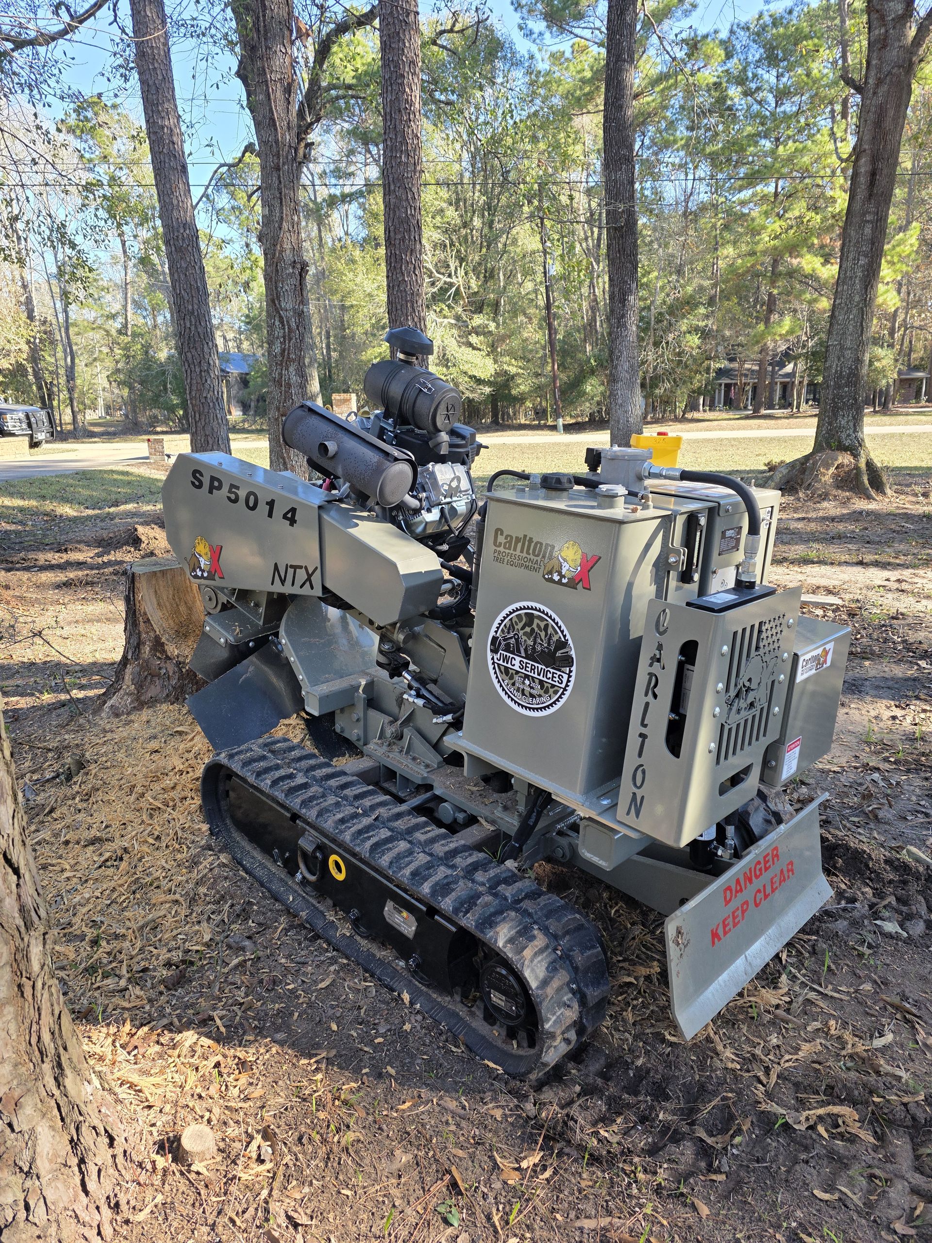Stump Grinding and Removal project 5
