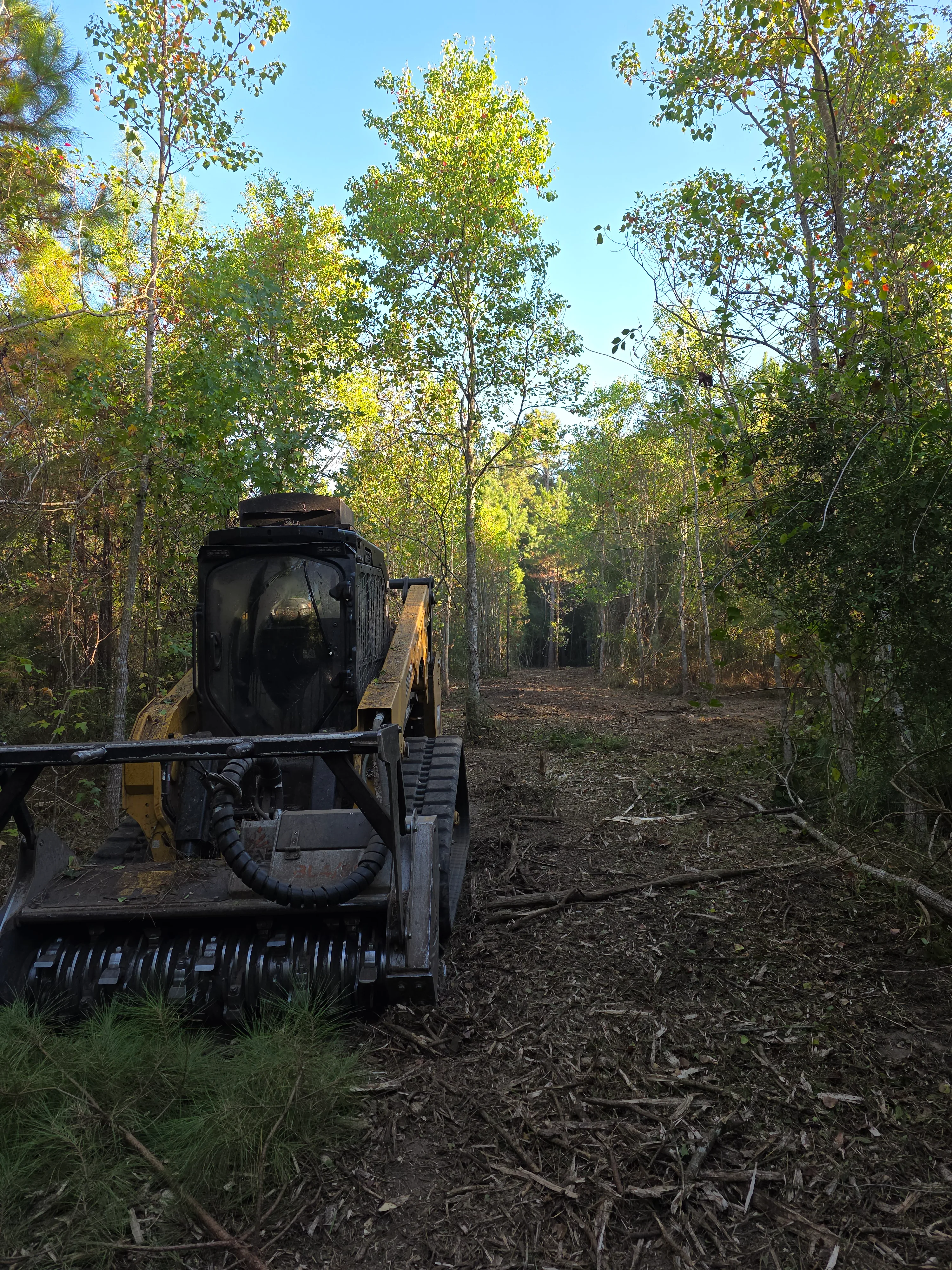 Land Clearing