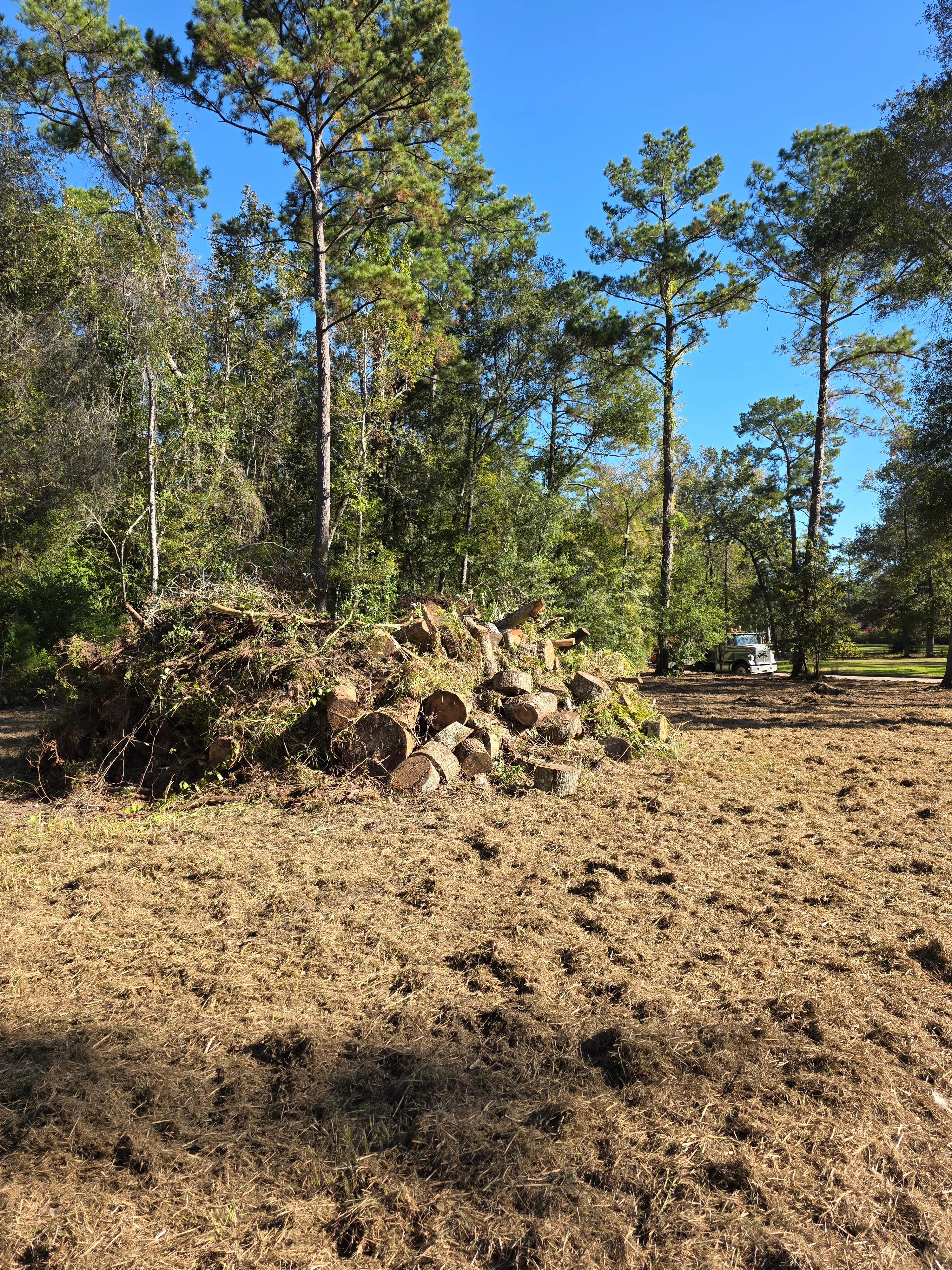 Hauling and Debris Removal
